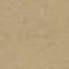 Beige Beige
