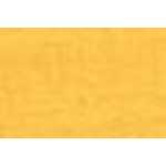 Egg Yellow Egg Yellow