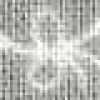 Muted Gray Muted Gray