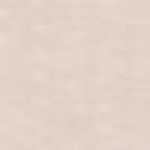 Gray Beige