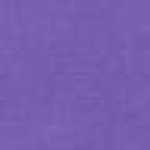 Lavender Lavender