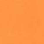Neon Orange Neon Orange
