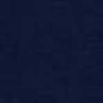 Navy Blue Navy Blue