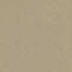 Sand Beige Sand Beige