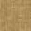Camel Beige Camel Beige