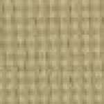 Beige Beige