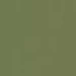 Light Olive