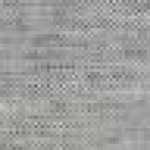 Light Gray Light Gray