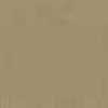 Dark Beige Dark Beige