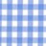 Gingham Saxe Blue