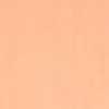 Salmon Orange Salmon Orange