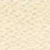 Pale Beige Pale Beige
