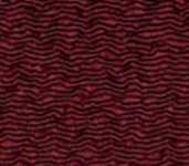 Maroon Maroon