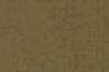 Beige Beige