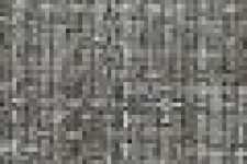 Gray Gray
