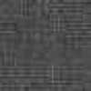 Gray Gray