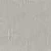 Light Gray Light Gray