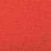 Neon Red Neon Red