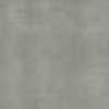Olive Gray