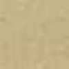 Beige Beige