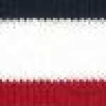 White × Navy Blue × Red