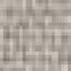 Light Gray Light Gray