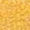 Yellow Yellow