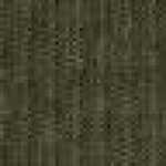 Charcoal Gray Charcoal Gray