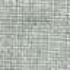 Light Gray Light Gray