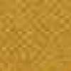 Orange Orange