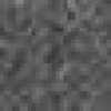 Gray Gray