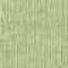 Olive Green Olive Green