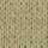 Pale Khaki Pale Khaki