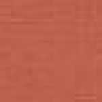 Coral Pink Coral Pink