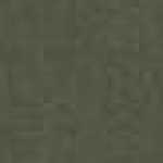 Light Khaki Light Khaki