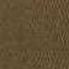 Brown Beige