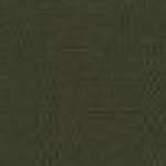Army Green Army Green