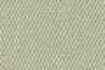 Beige Beige