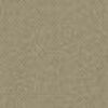 Brown Beige Brown Beige
