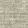 Ecru Speckled Ecru Speckled