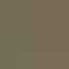 Camel Beige Camel Beige