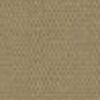 Brown Beige Brown Beige