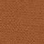 Dusty Orange Dusty Orange