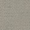 Gray Beige