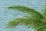 Palmtree-saxe Blue Palmtree-saxe Blue