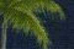 Palmtree-Navy Blue Palmtree-Navy Blue