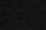 Palmtree-Black Palmtree-Black