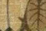Leaves-Beige Leaves-Beige
