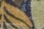 Leaves-Navy Blue*Coffee Leaves-Navy Blue*Coffee