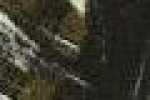 Abstract Leaf-Black